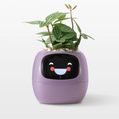 BloomMind Smart Planter