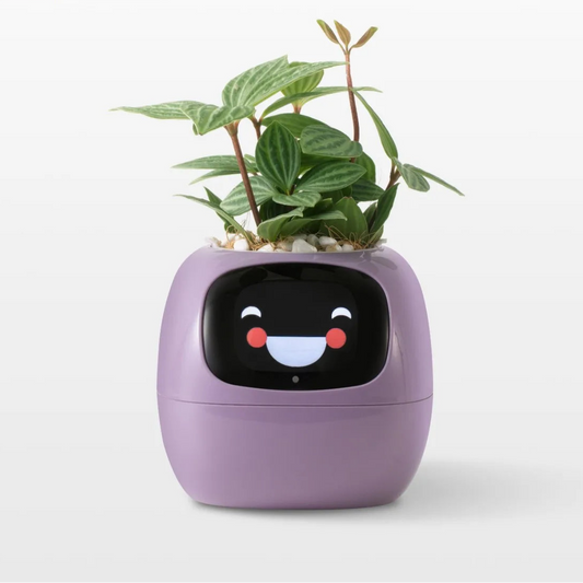 BloomMind Smart Planter